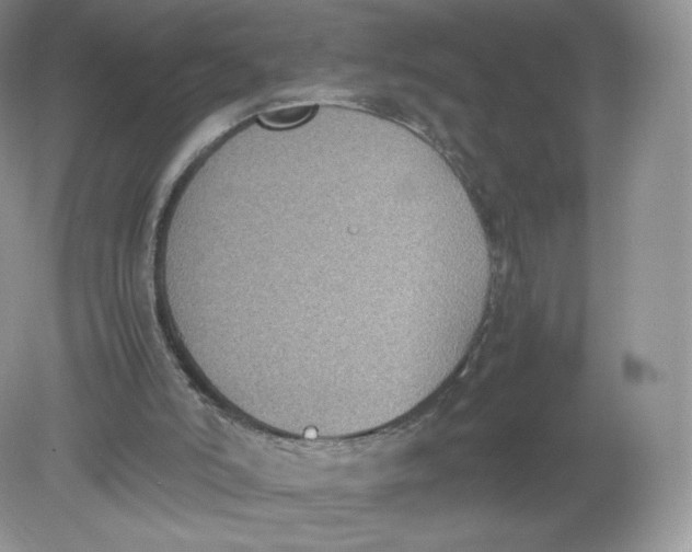 X0000078880006200612042036