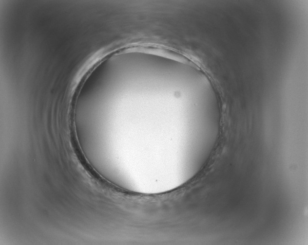 X0000078880007200612042036