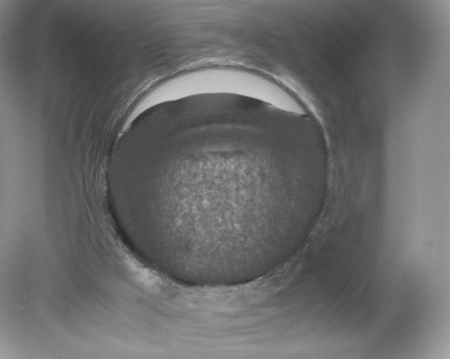 X0000078880009200612042036