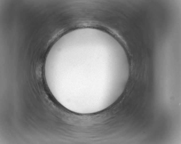 X0000078880010200612042036