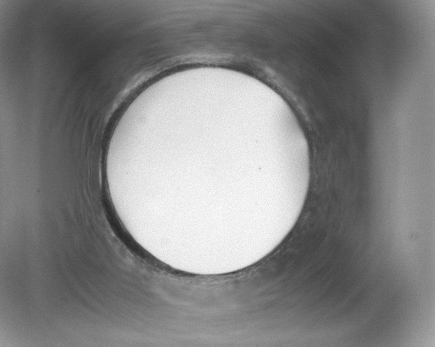 X0000078880011200612042036