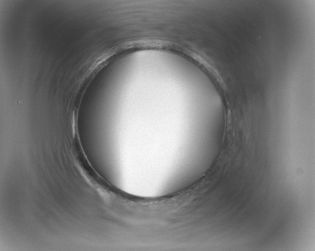 X0000078880013200612042036