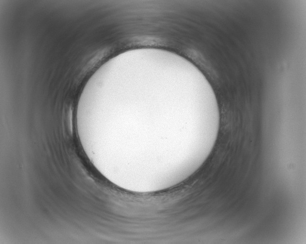 X0000078880014200612042036