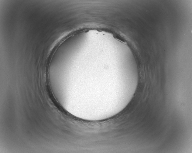 X0000078880015200612042036