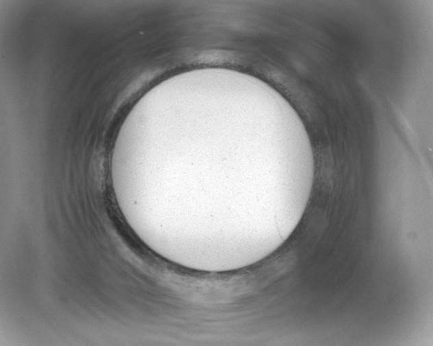 X0000078880016200612042036