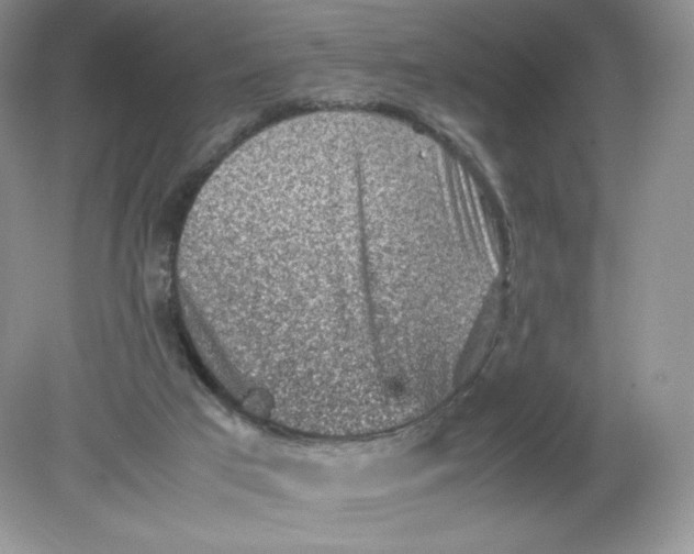 X0000078880017200612042036