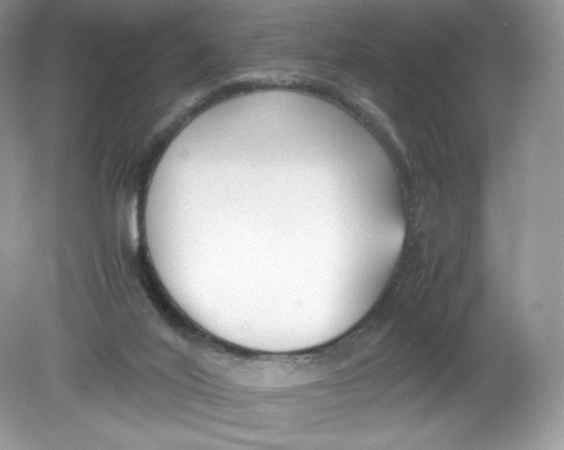 X0000078880020200612042036