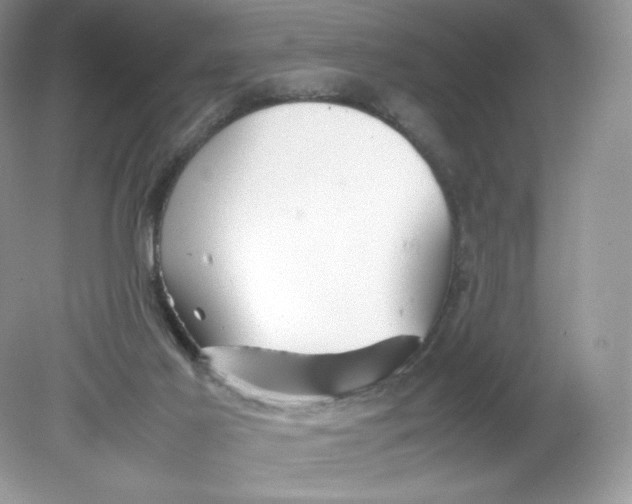 X0000078880021200612042036