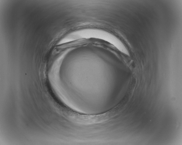 X0000078880023200612042036