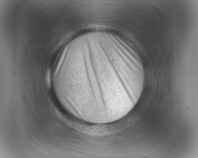 X0000078880024200612042036