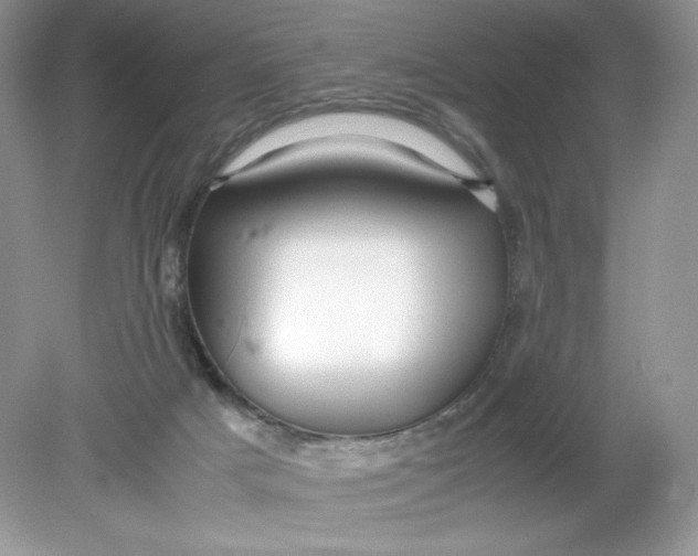 X0000078880025200612042036