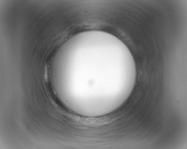 X0000078880026200612042036