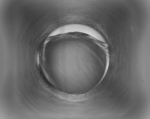 X0000078880027200612042036