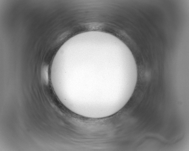 X0000078880028200612042036