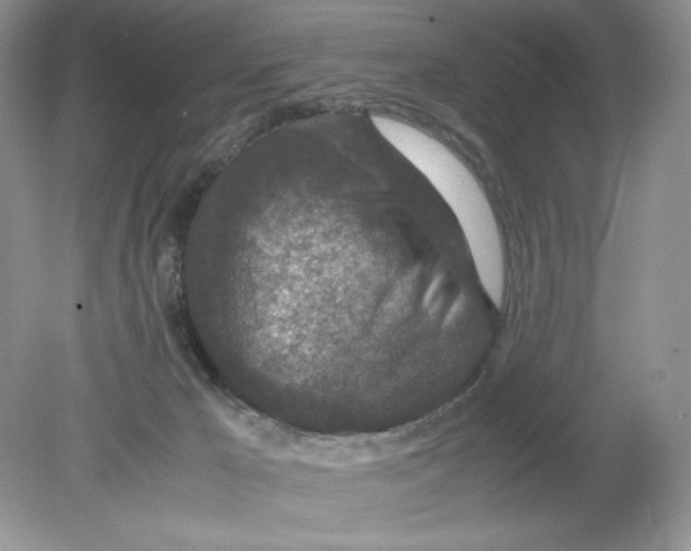 X0000078880029200612042036