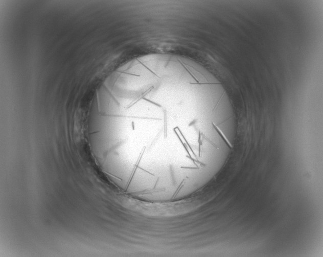 X0000078880030200612042036