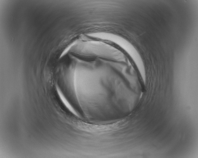 X0000078880031200612042036