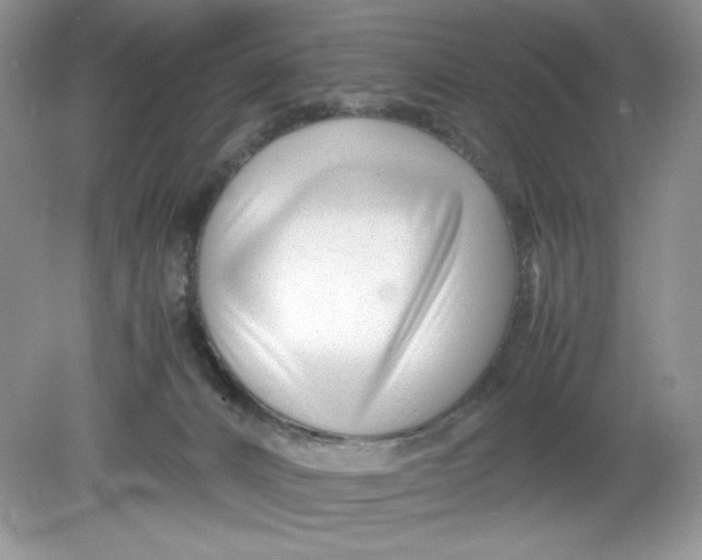 X0000078880032200612042036