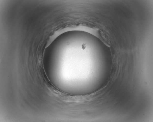 X0000078880033200612042036