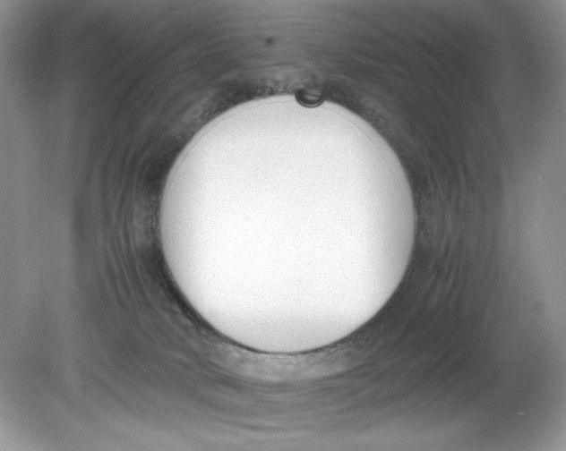 X0000078880034200612042036