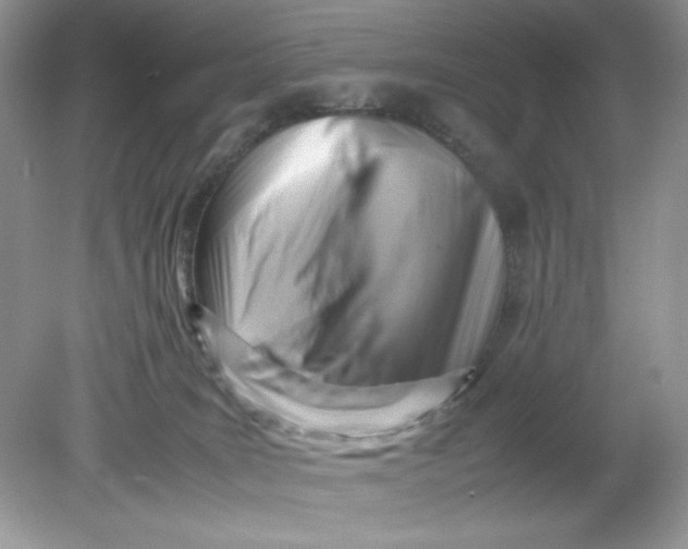 X0000078880035200612042036