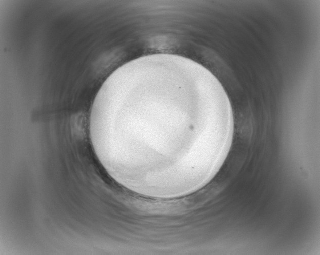 X0000078880036200612042036