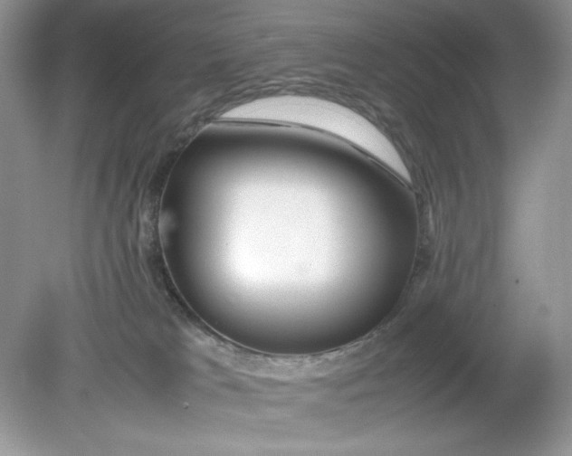 X0000078880037200612042036