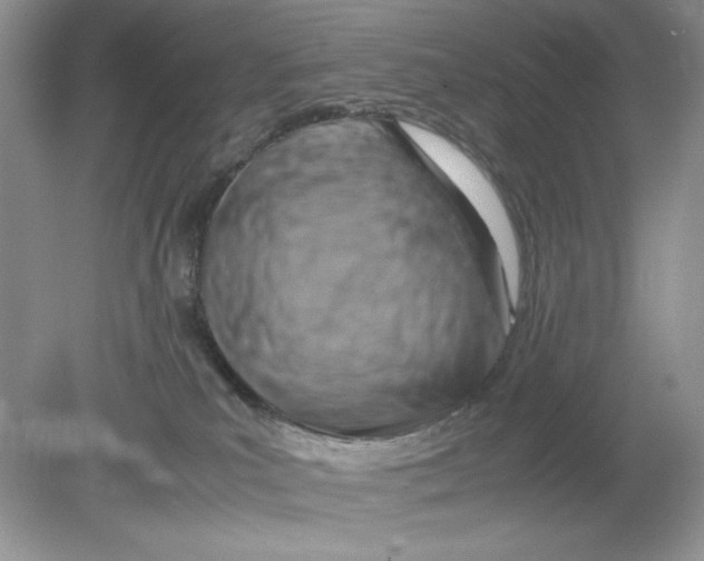 X0000078880039200612042036