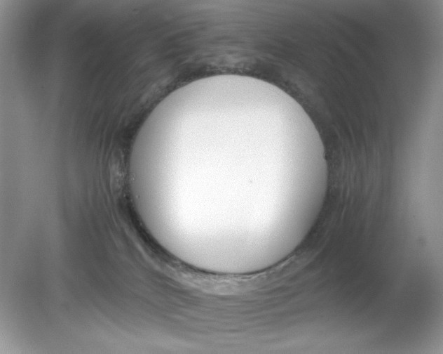 X0000078880040200612042036