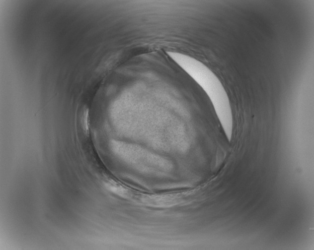 X0000078880041200612042035