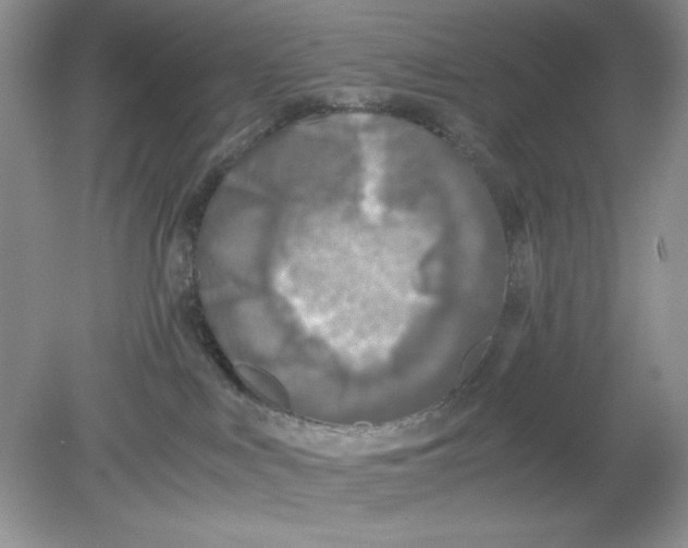 X0000078880043200612042035