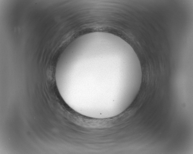 X0000078880044200612042035