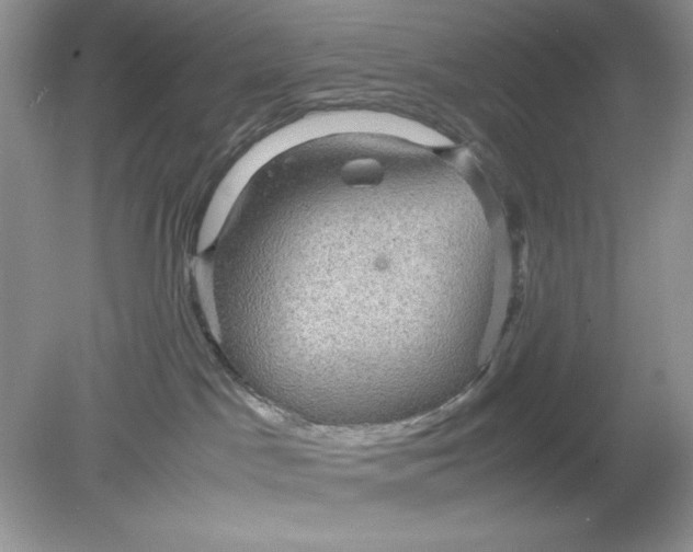 X0000078880045200612042035