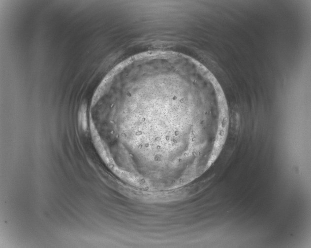 X0000078880046200612042035