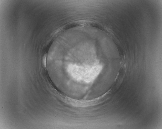 X0000078880047200612042035