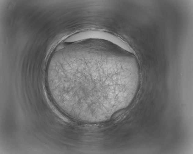 X0000078880049200612042035