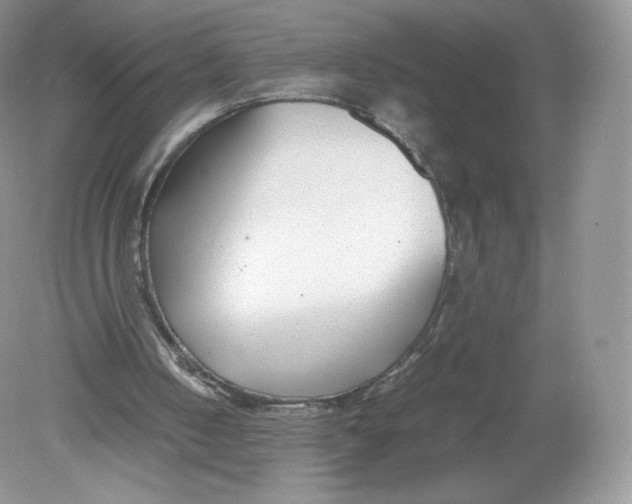 X0000078880050200612042035