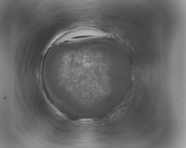 X0000078880052200612042035