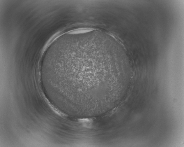 X0000078880053200612042035