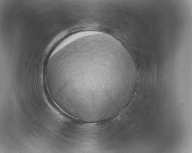 X0000078880054200612042035