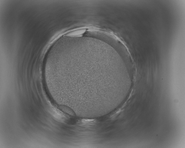 X0000078880055200612042035