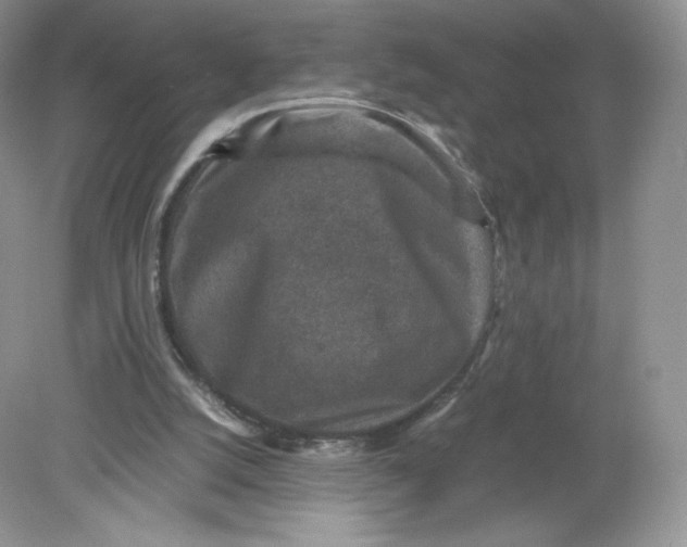 X0000078880056200612042035