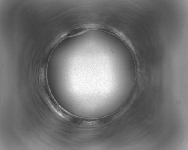 X0000078880057200612042035