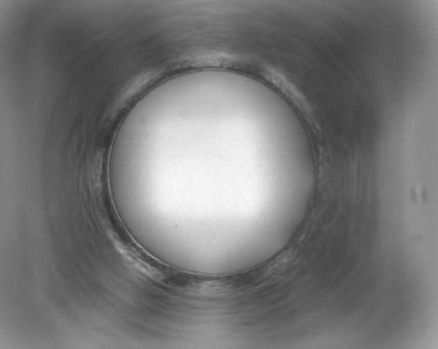 X0000078880058200612042035