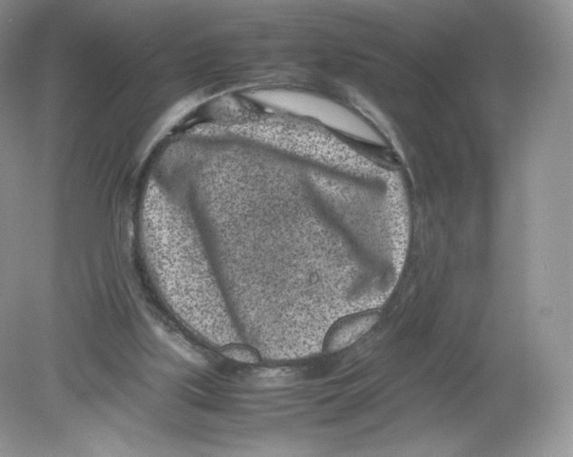 X0000078880059200612042035