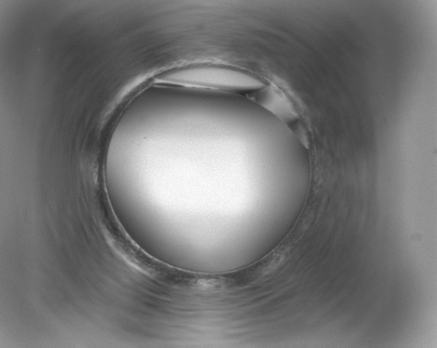 X0000078880060200612042035