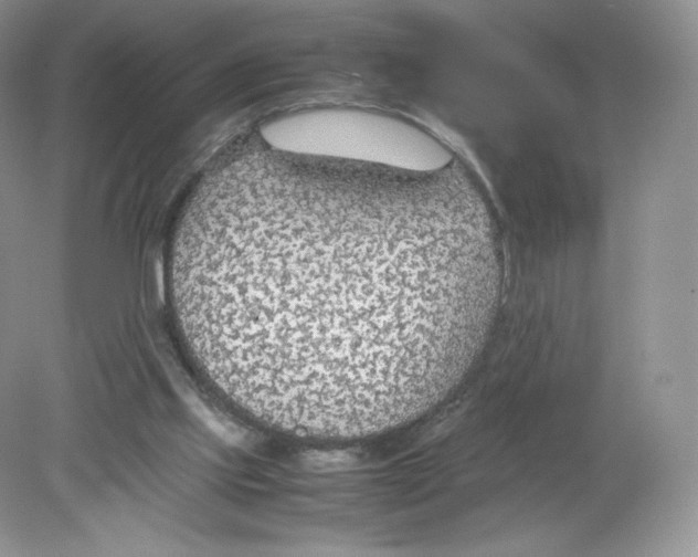 X0000078880061200612042035