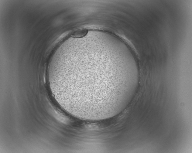 X0000078880062200612042035