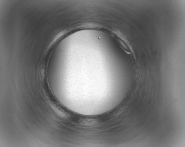 X0000078880063200612042035