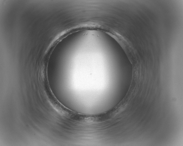 X0000078880064200612042035